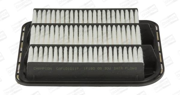 Air Filter CAF101011P