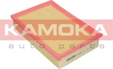 Air Filter F228001
