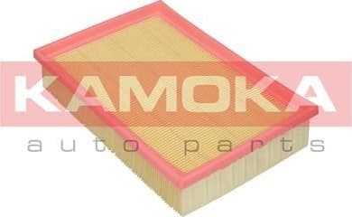 Air Filter F228001 - image 3