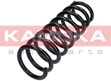 Suspension Spring 2120276 - image 3