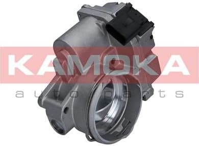 Throttle Body 112011
