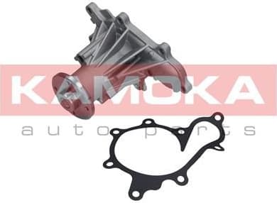 Water Pump, engine cooling T0277