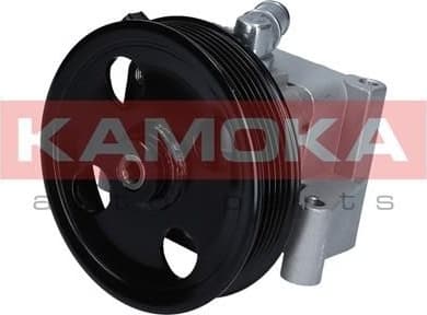 Hydraulic Pump, steering PP098