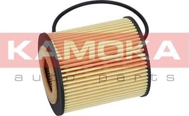 Oil Filter F110201