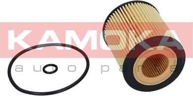 Oil Filter F110201 - image 4