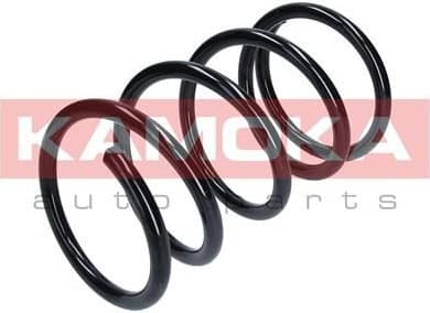 Coil spring 2110302