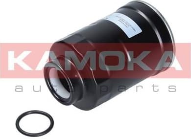 Fuel Filter F313101 - image 3