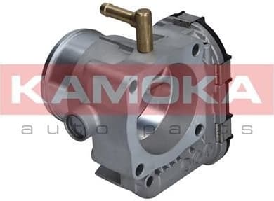 Throttle Body 112007