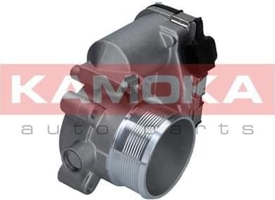 Throttle Body 112025