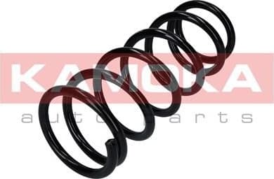 Suspension Spring 2120008