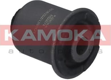 Mounting, control/trailing arm 8800074