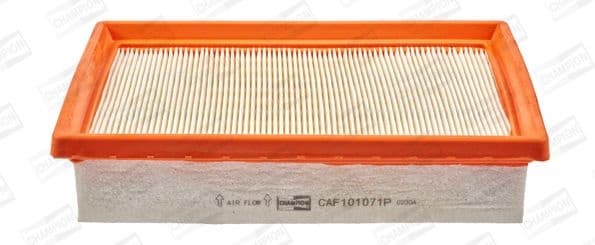 Air Filter CAF101071P