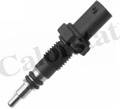 Sensor water temperature WS3091