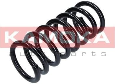 Coil spring 2120287