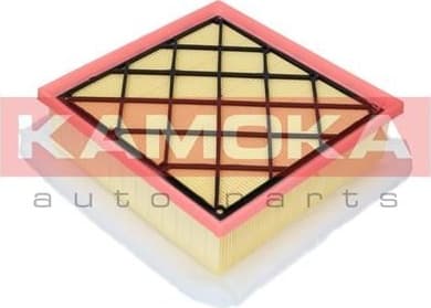 Air Filter F222301
