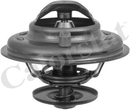 Thermostat, coolant TH5902.87J