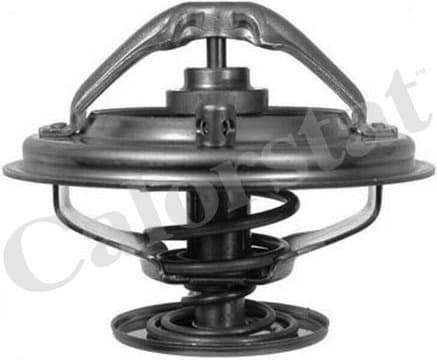 Thermostat, coolant TH6497.85J