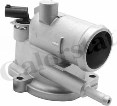 Thermostat, coolant TH6848.87J