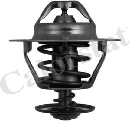 Thermostat TH6319.82J