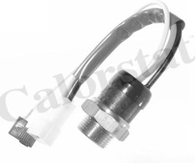 Temperature Switch, radiator fan TS1900