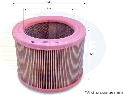 Air Filter EAF024