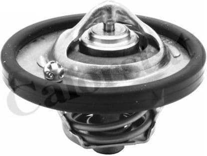 Thermostat, coolant TH6837.74J