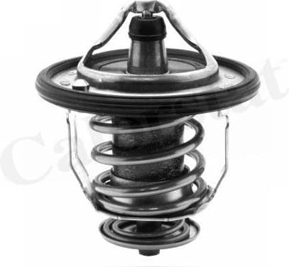 Thermostat, coolant TH5434.76J