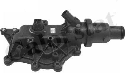 Thermostat, coolant TH6971.89J