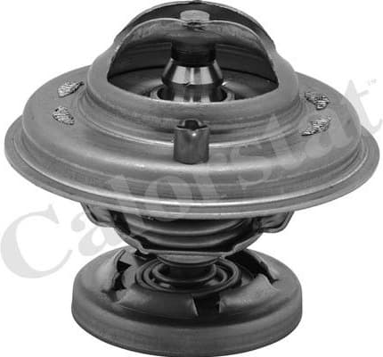 Thermostat, coolant TH5699.85J