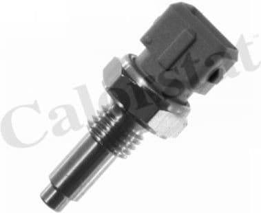 Sensor, coolant temperature WS2589