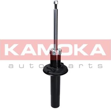 Shock Absorber 20341031