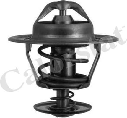 Thermostat TH6007.88J