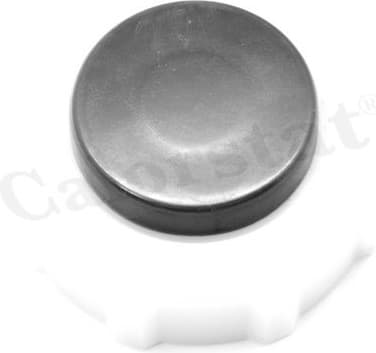 Cap, coolant tank RC0017