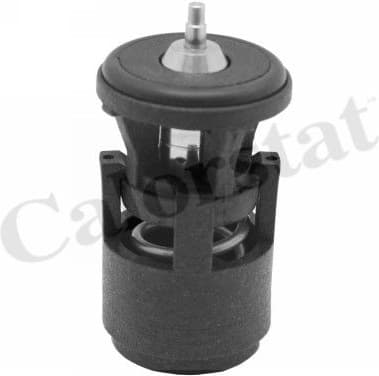 Thermostat, coolant TH6274.87J