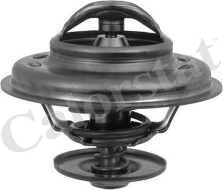 Thermostat, coolant TH5111.88J