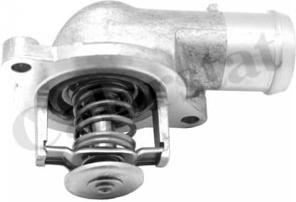 Thermostat, coolant TH6966.87J