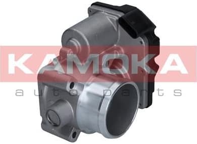 Throttle Body 112032