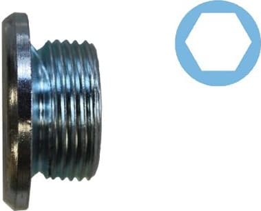 Screw Plug, oil sump 220132S