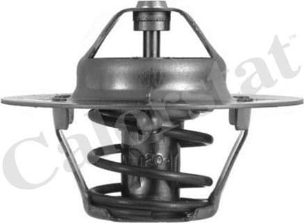 Thermostat, coolant TH4608.88J