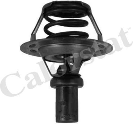 Thermostat, coolant TH5284.86J