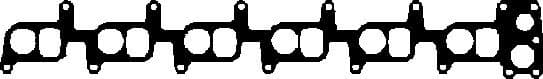 Gasket, intake manifold 450161P