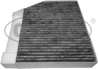 Filter, cabin air 80005252