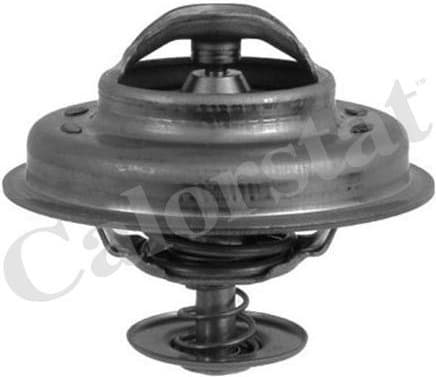 Thermostat, coolant TH5231.83J