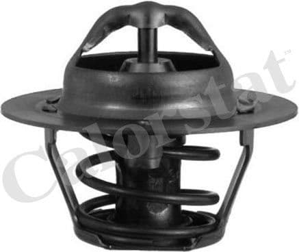 Thermostat, coolant TH5977.88J