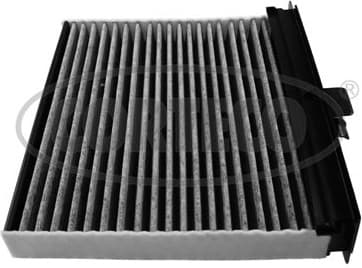 Filter, cabin air 80004404