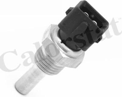 Sensor, coolant temperature WS3020