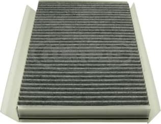 Filter, cabin air 80000743