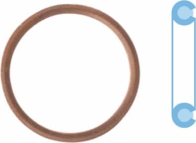 Seal Ring, oil drain plug 005506S