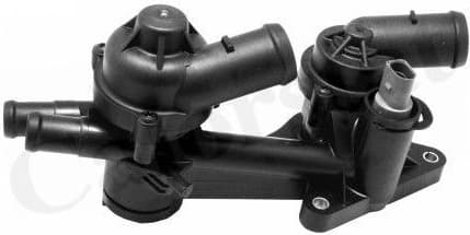 Thermostat, coolant TH7169.80J