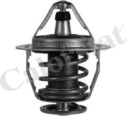 Thermostat TH6520.82J